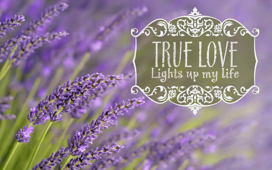 True Love How To Find Your Soulmate