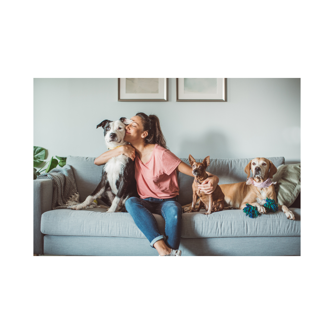 The Ultimate Guide to Pet Care featuring pet nutrition, grooming, training, veterinary care, pet health, adoption guidance, and responsible pet ownership