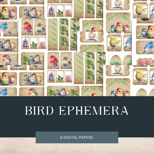 Bird Ephemera