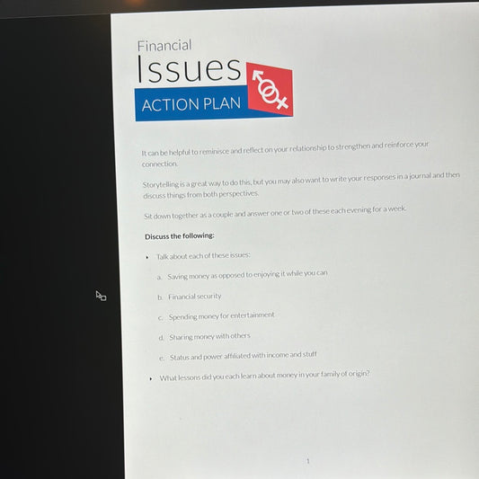 Financial Issues Action Plan