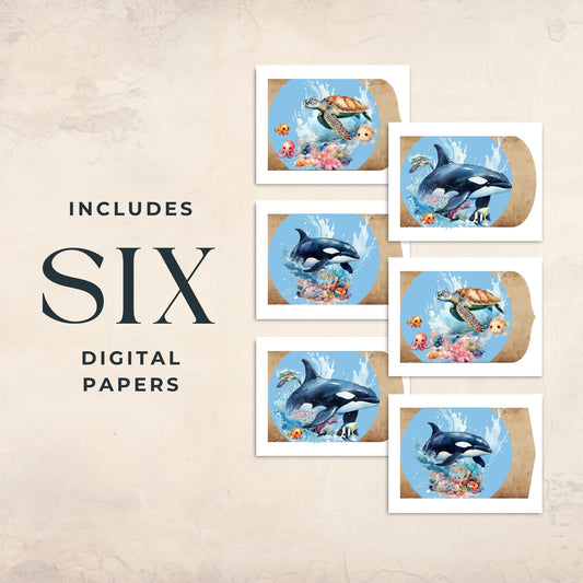 Sea Animals Folios