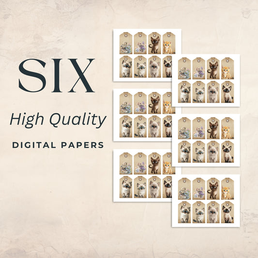 Eight Cat Tags