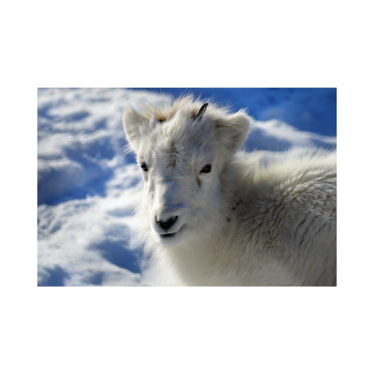 Dall-E AI Generated Images