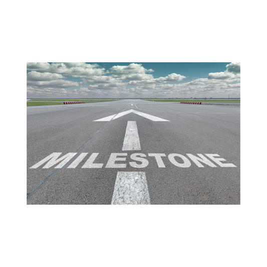 Baby Milestone Cards | Royalty Luxury Health and Beauty