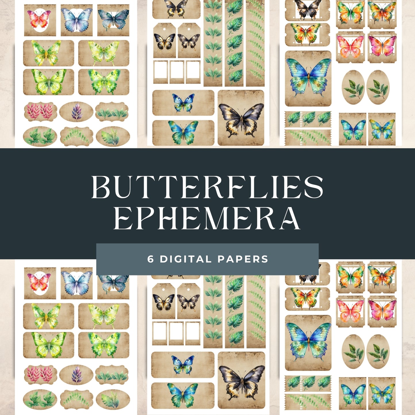 Butterflies Ephemera