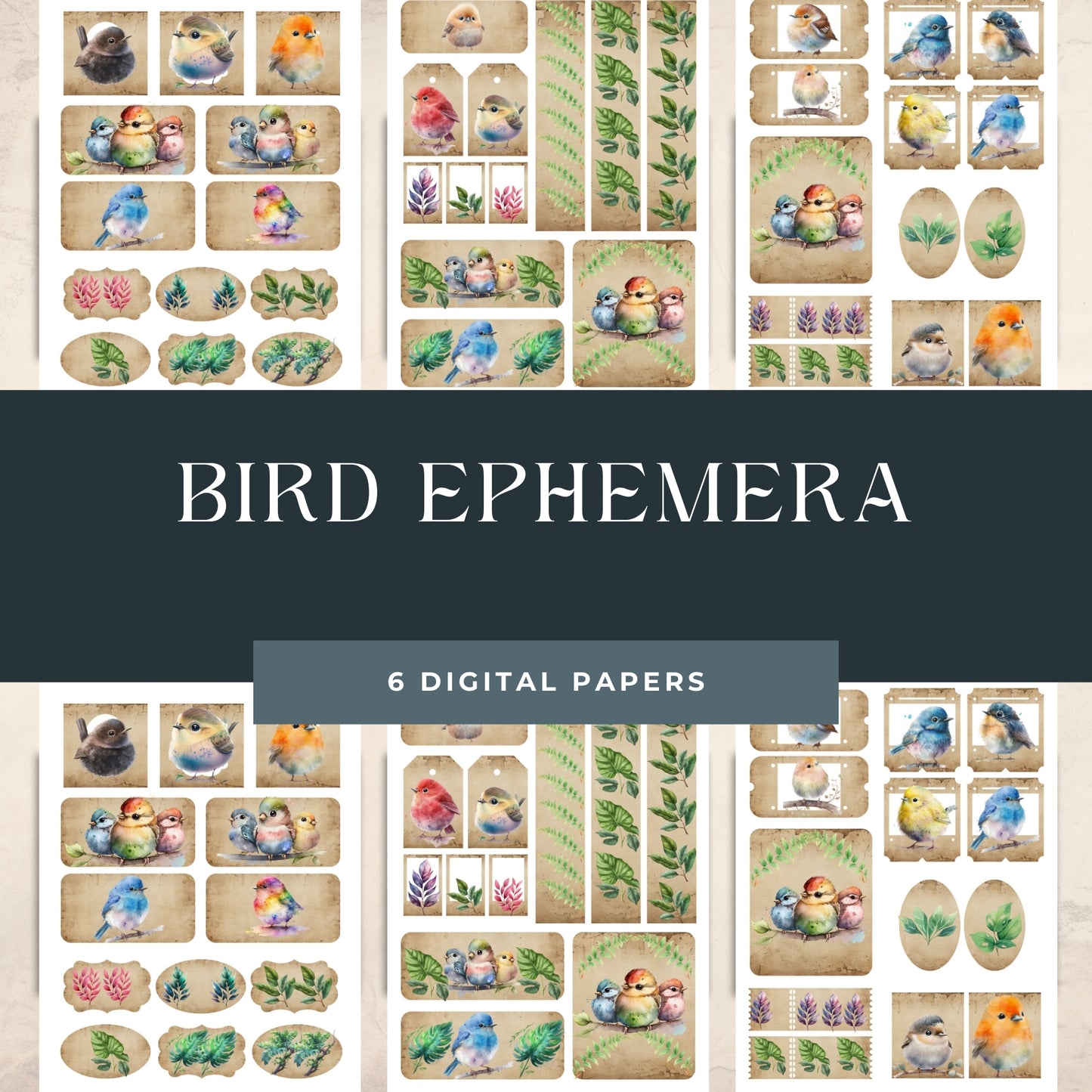 Bird Ephemera