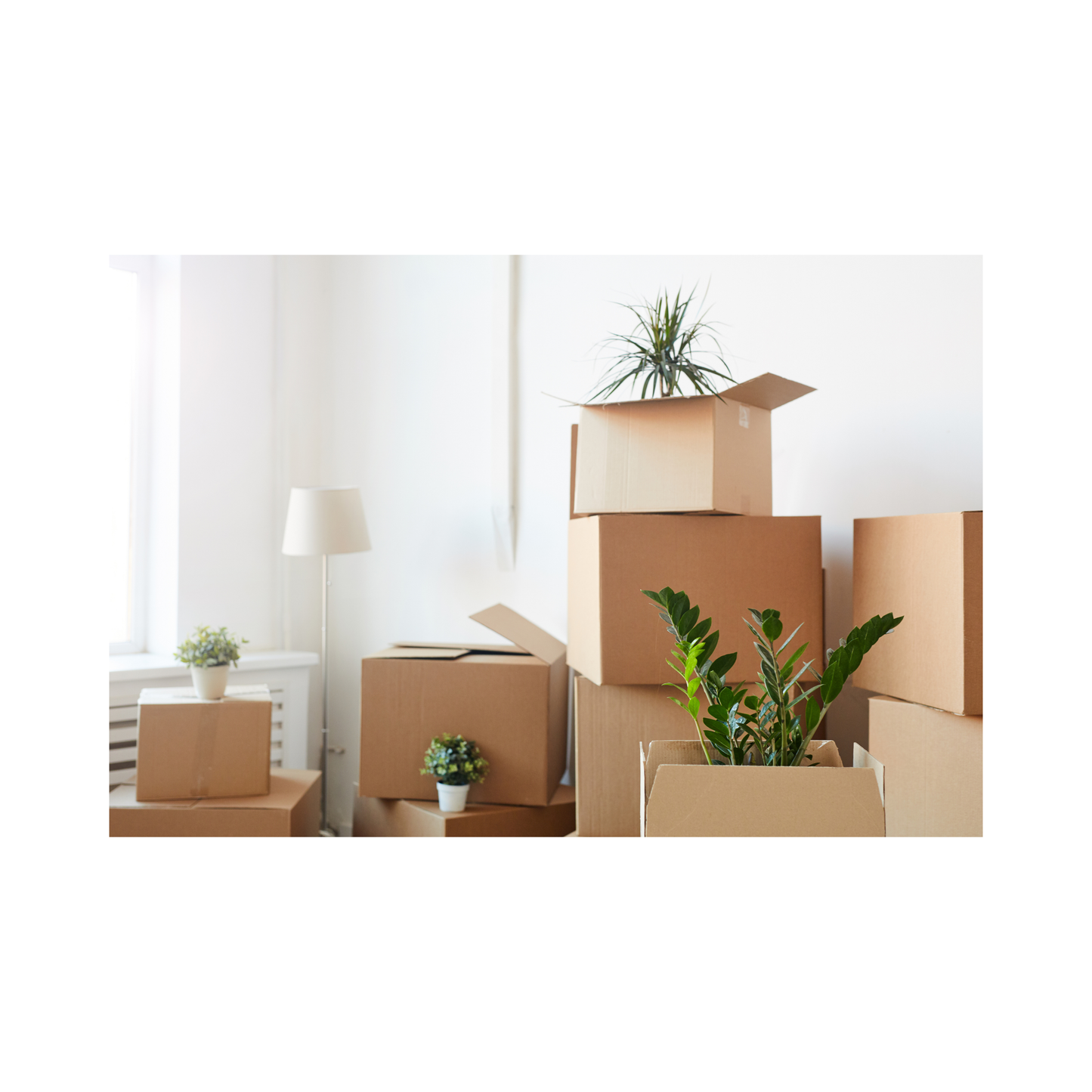 Moving Home Checklist