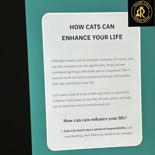 How Cats Can Enhance Your Life