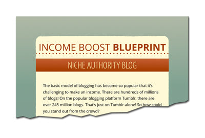 Income Boost Blueprint Niche Authority Blog