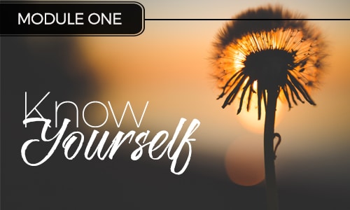 Authentic Self Course