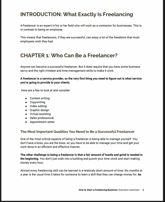 How To Start A Freelancing Business Executive Summary