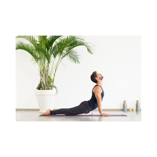 Yoga Training Volume 10