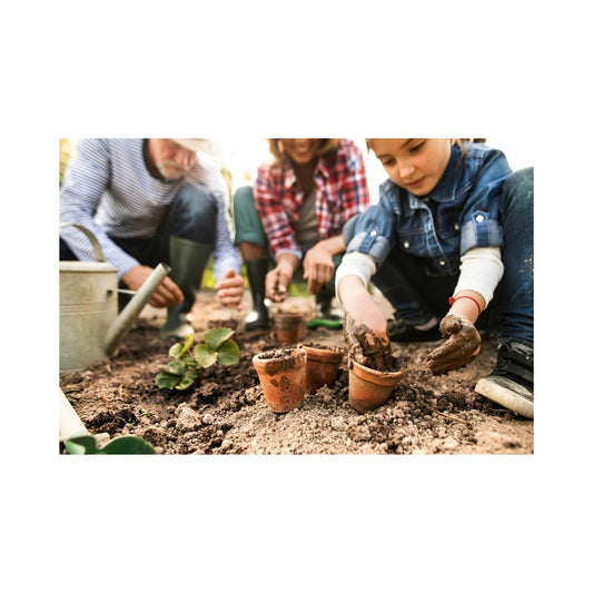 Five Ways Gardening Will Lift Your Mood