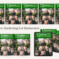Video Marketing For Businesses