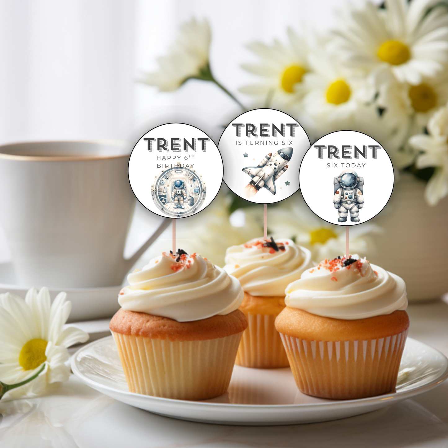 6th Birthday Party Cupcake Toppers Boy