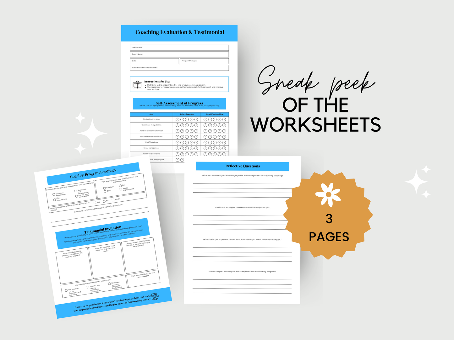 Coaching Evaluation Template