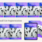 Email List Segmentation