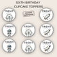6th Birthday Party Cupcake Toppers Boy
