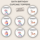 6th Birthday Party Cupcake Toppers Girl