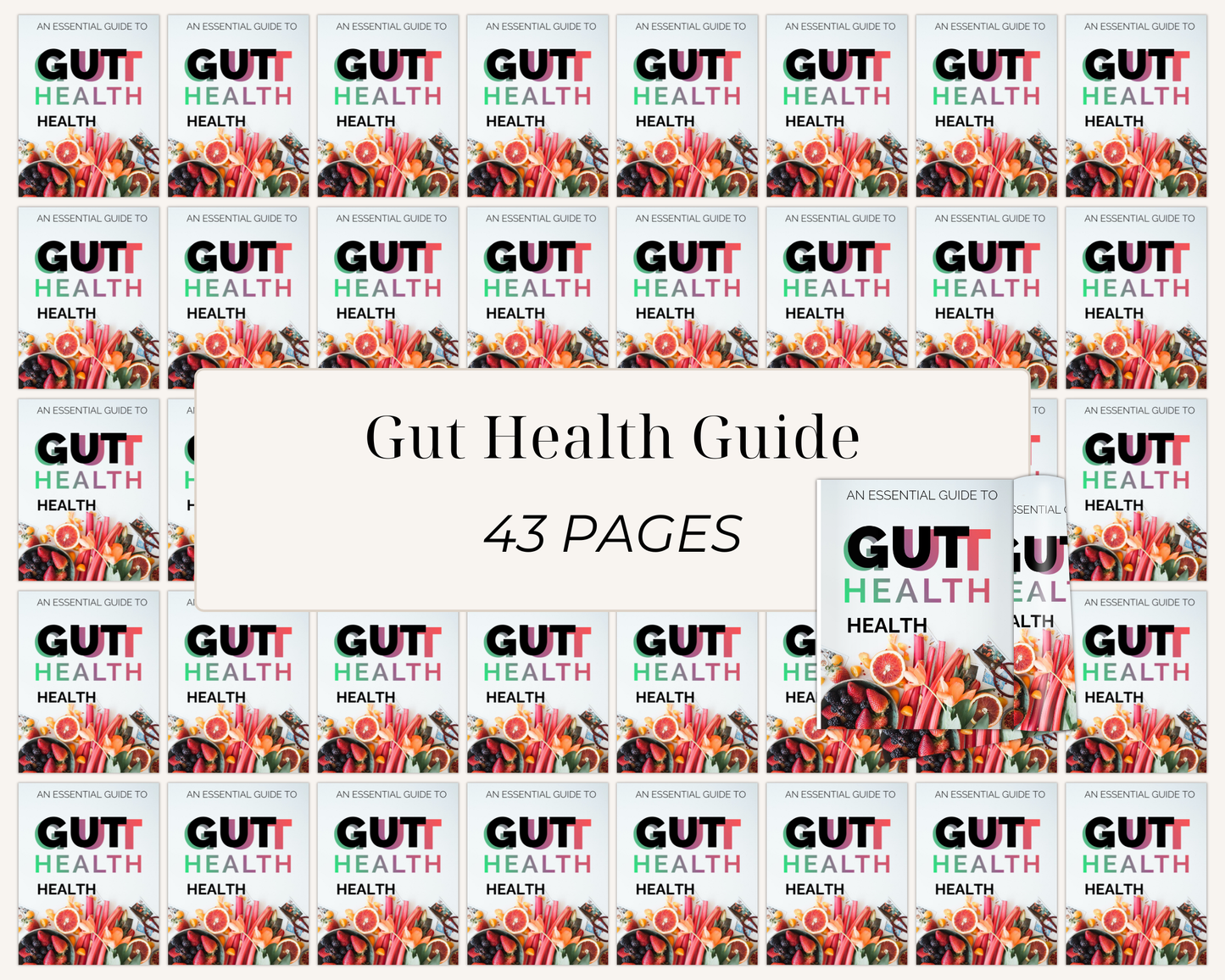 Gut Health Guide