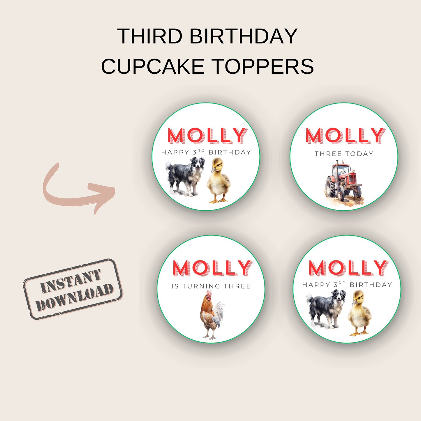 3rd Birthday Cupcake Toppers Girl