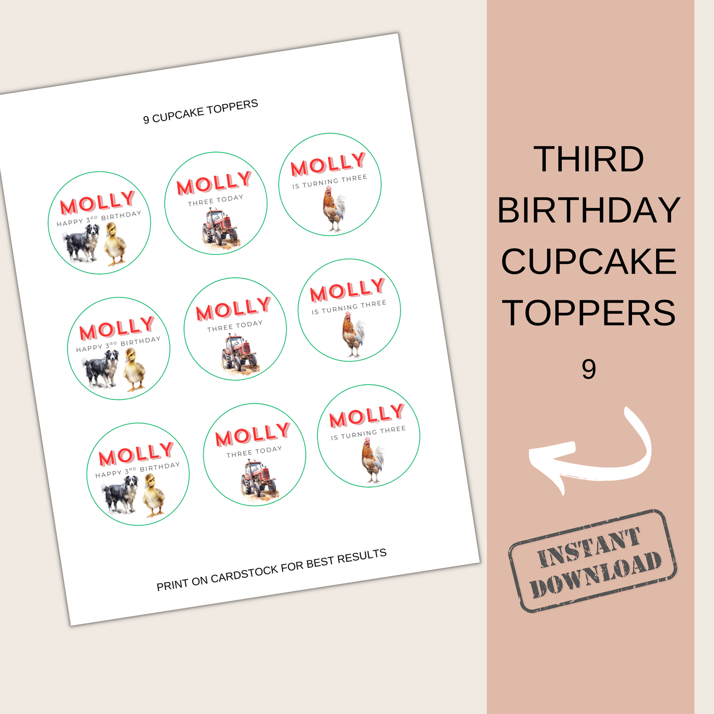3rd Birthday Cupcake Toppers Girl