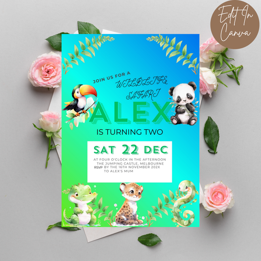 2nd Birthday Invitation
