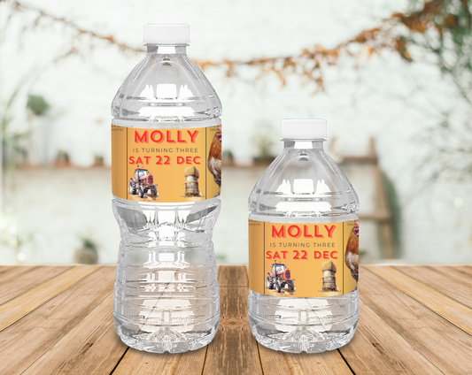 3rd Birthday Water Bottle Label
