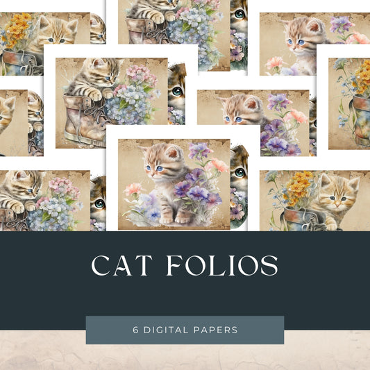 Cat Folios