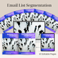 Email List Segmentation