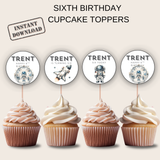 6th Birthday Party Cupcake Toppers Boy