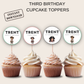 3rd Birthday Boy Cupcake Toppers