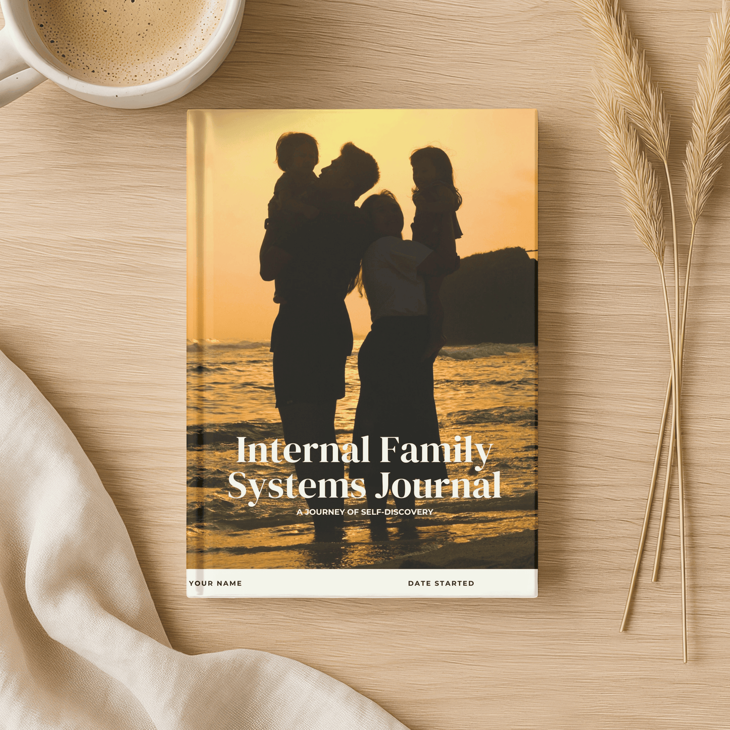 Internal Family Systems Journal
