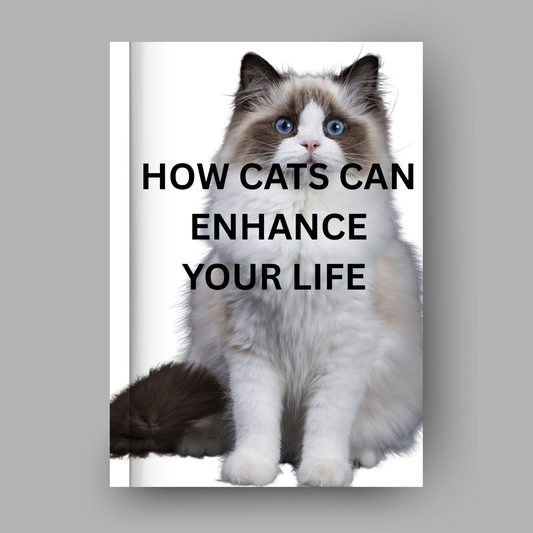 How Cats Can Enhance Your Life