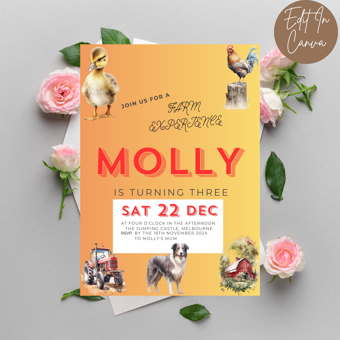 3rd Birthday Invitation