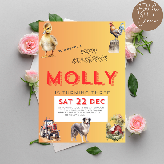 3rd Birthday Invitation