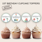 1st Birthday Cupcake Toppers Girl