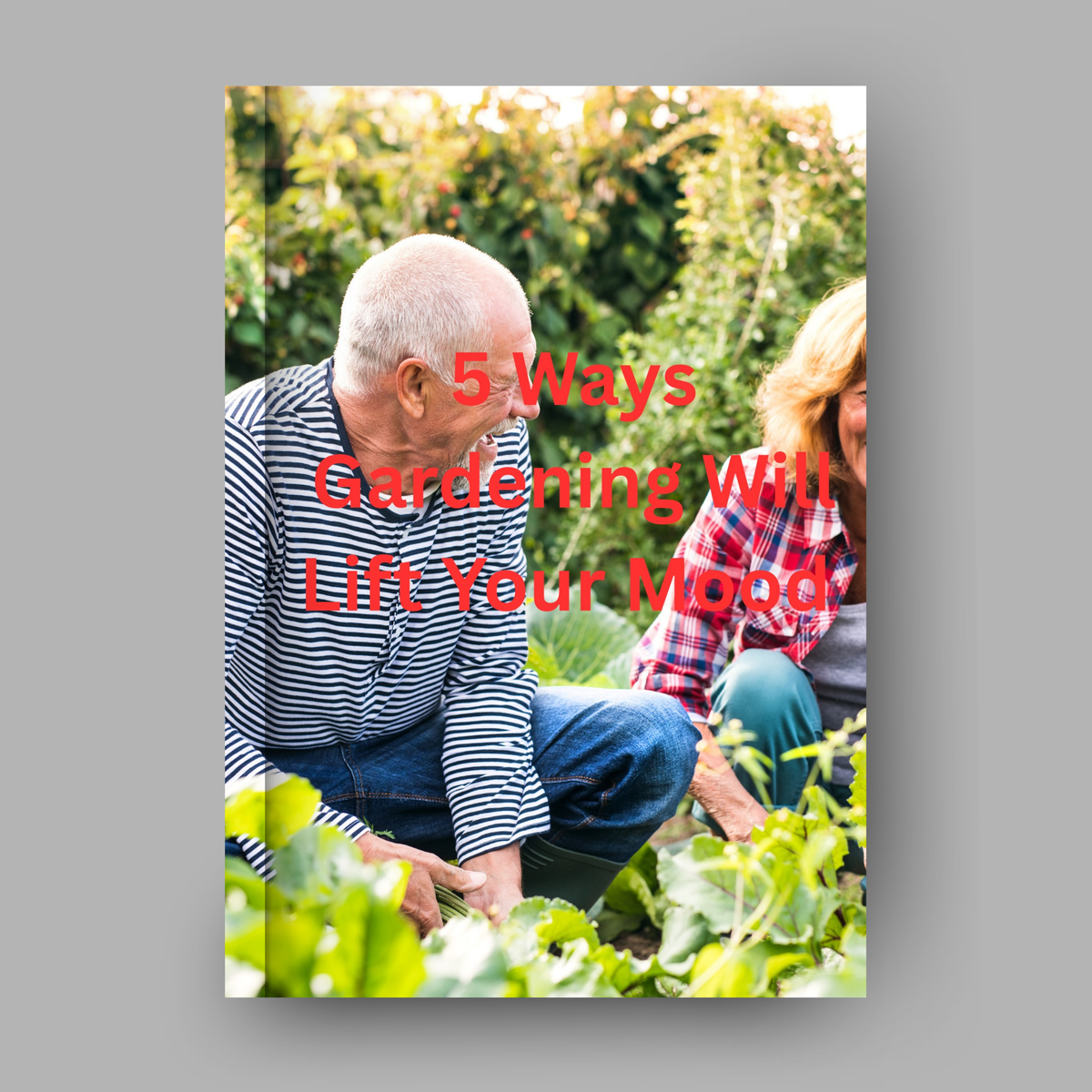 Five Ways Gardening Will Lift Your Mood