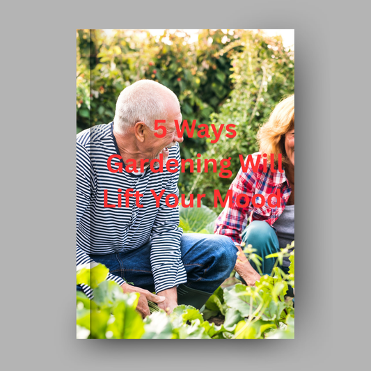 Five Ways Gardening Will Lift Your Mood