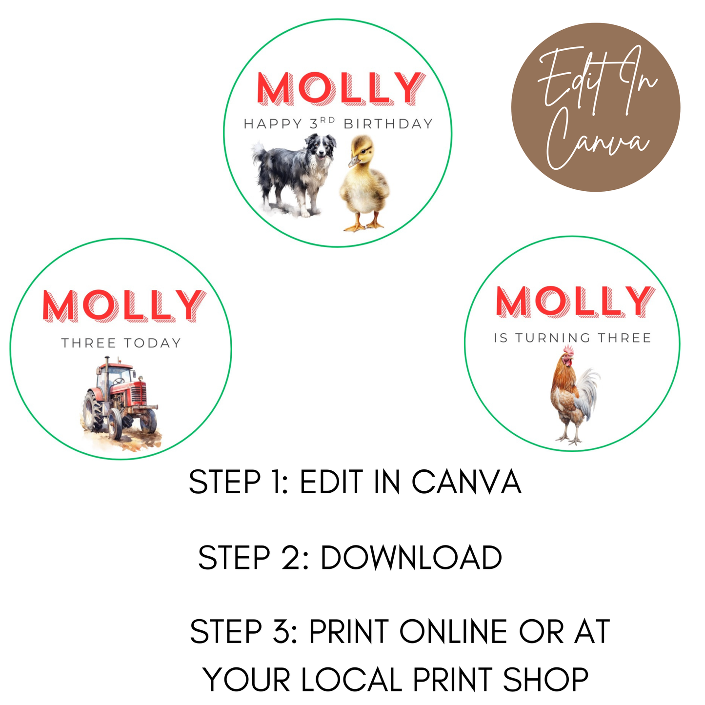 3rd Birthday Cupcake Toppers Girl
