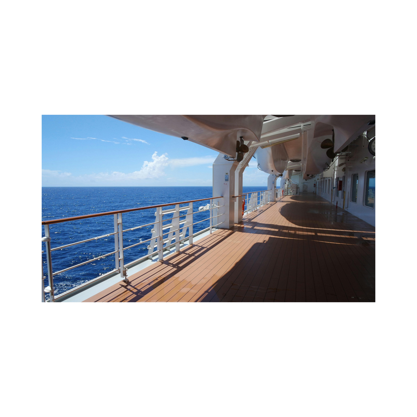 Cruise Ship Checklist