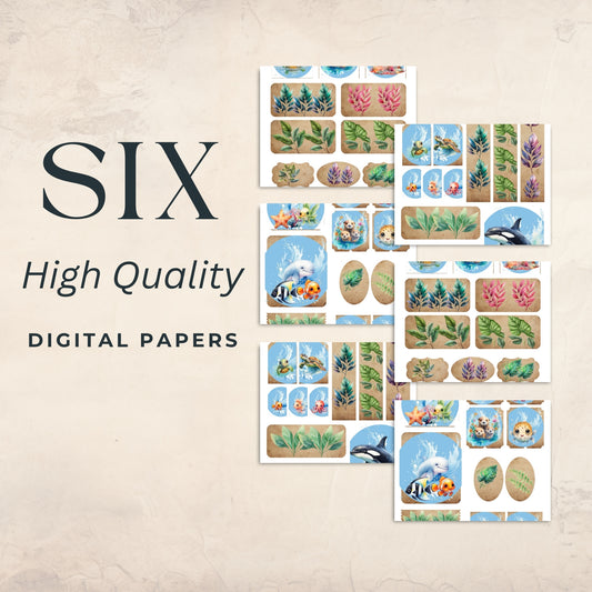 Sea Animals Ephemera