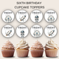 6th Birthday Party Cupcake Toppers Boy