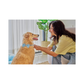 Pet Sitter Checklists