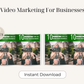 Video Marketing For Businesses