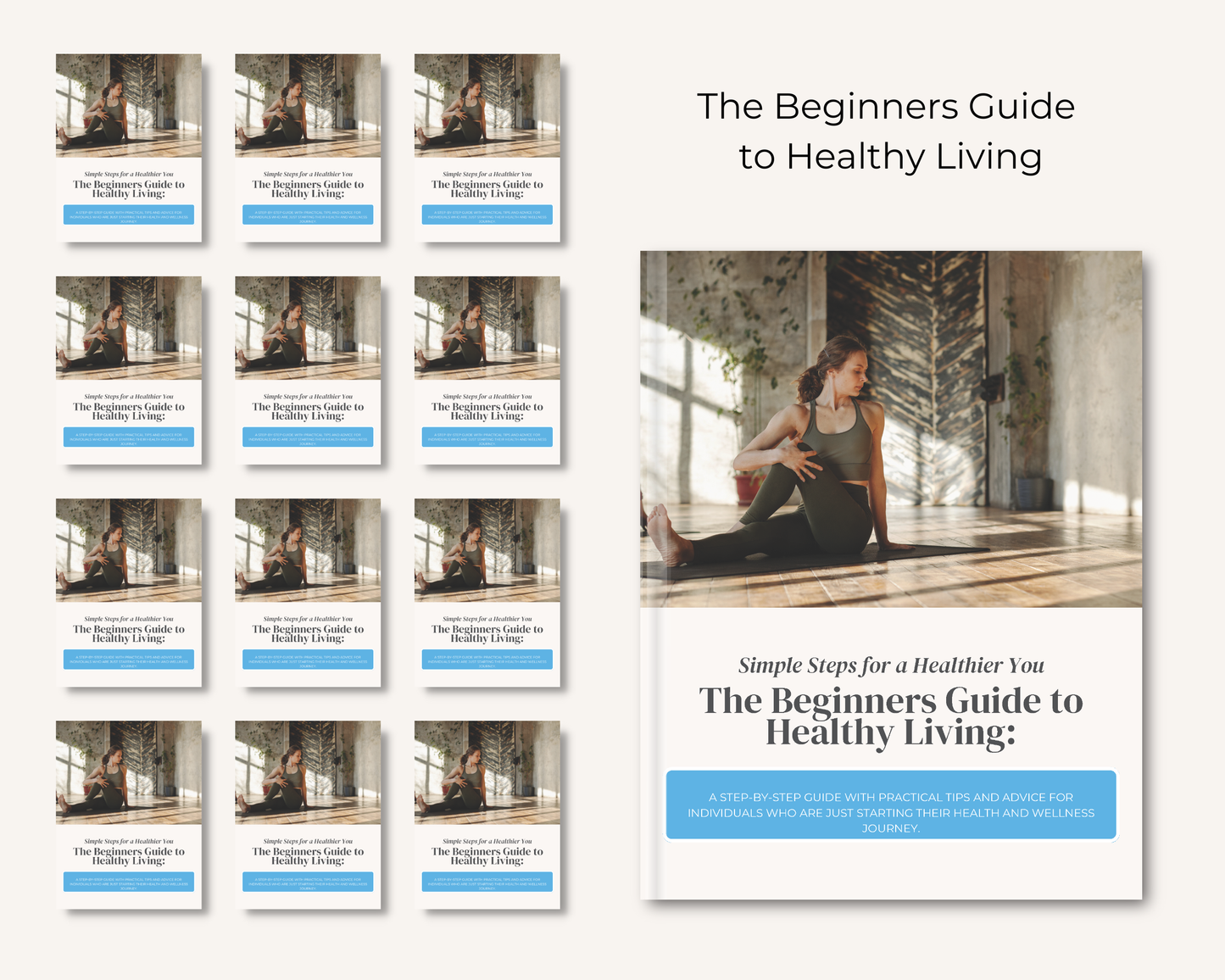 The Beginners Guide to Healthy Living