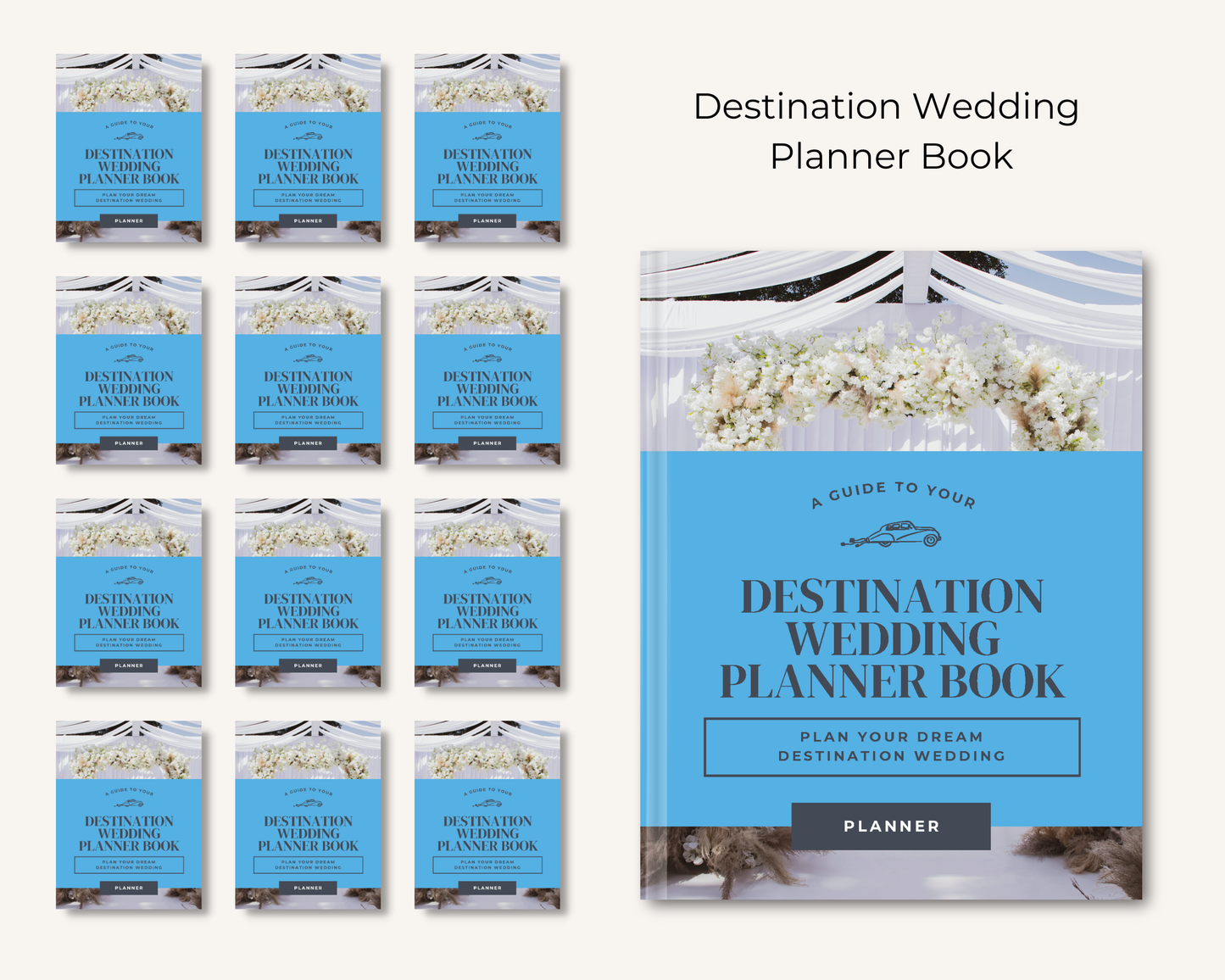 Destination Wedding Planner Book
