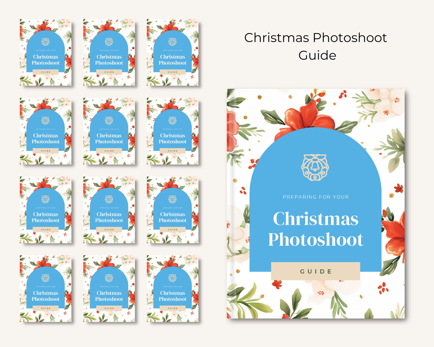 Christmas Photoshoot Guide