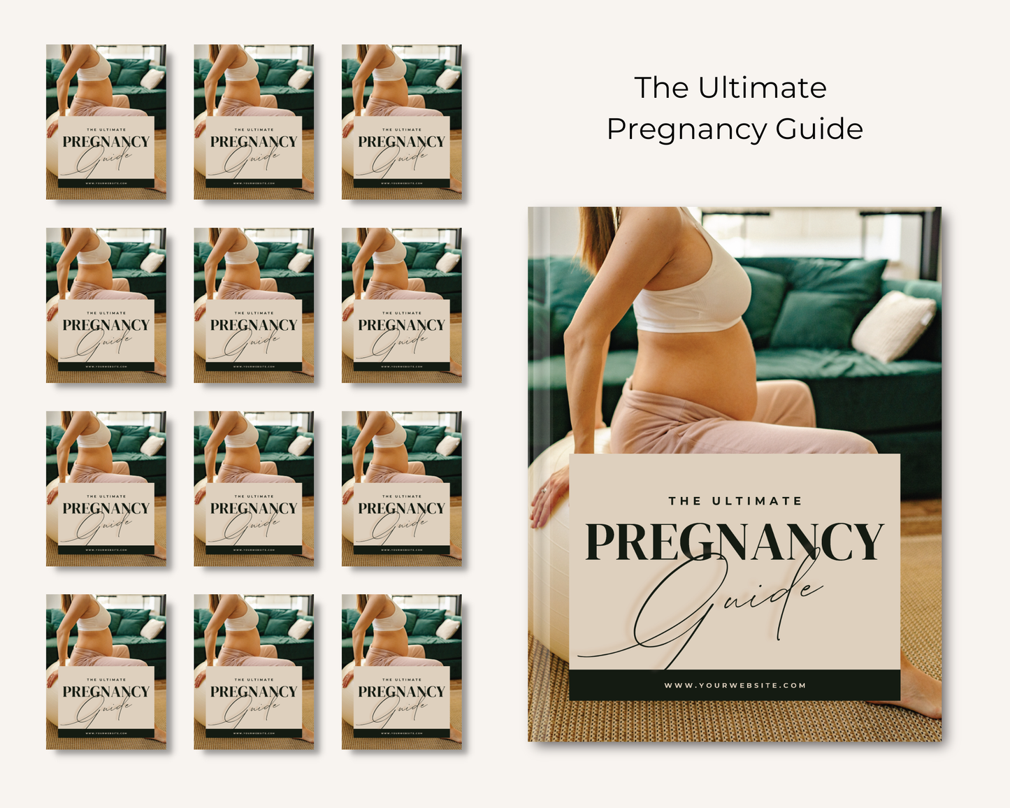The Ultimate Pregnancy Guide