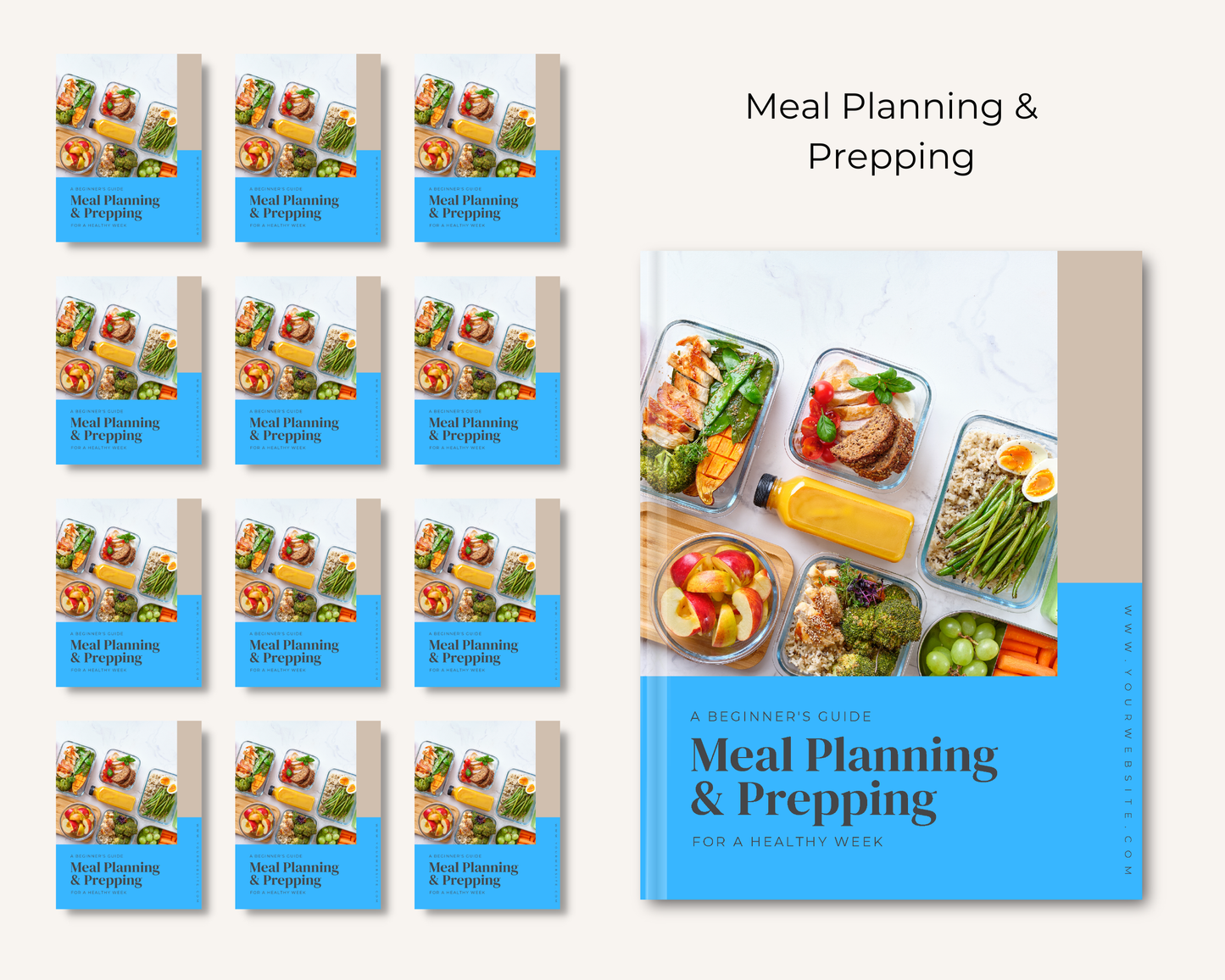 Meal Planning & Prepping